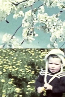 Risveglio Trailer