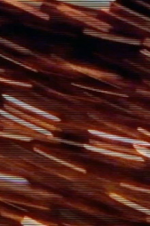 Ritual by Rote Trailer