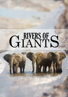 Rivers of Giants Trailer