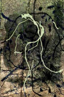 Rivière au tonnerre Trailer