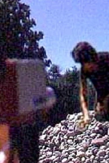 Rock Garden Trailer
