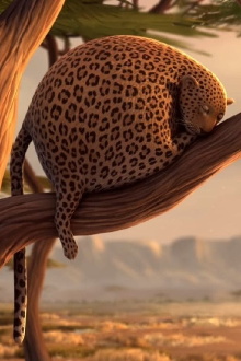 Rollin' Safari Trailer