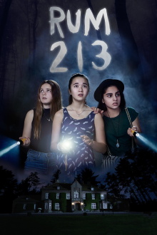 Room 213 Trailer