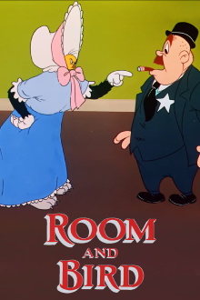 Room and Bird Trailer