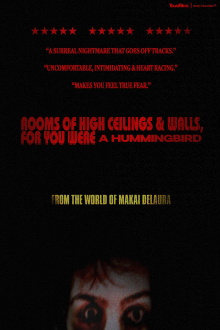 Rooms of High Ceilings & Walls, For You Were a Hummingbird. Trailer