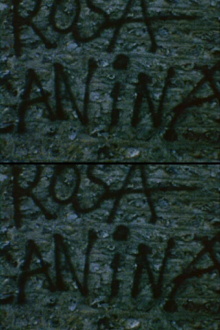 Rosa Canina Trailer