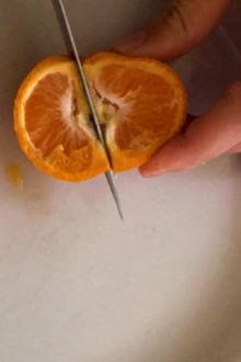 Rotten Fruit Trailer
