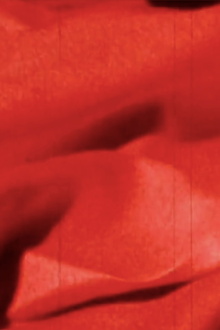 Rouge Trailer