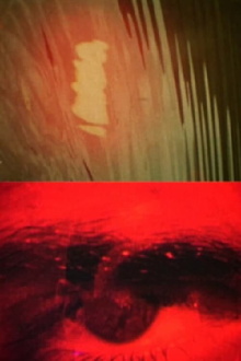 Royaume Trailer