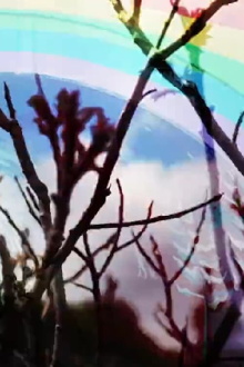 ROYGBIV Trailer