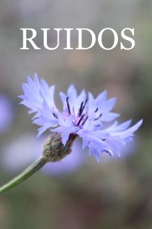 Ruidos Trailer