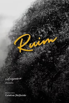 Ruim Trailer