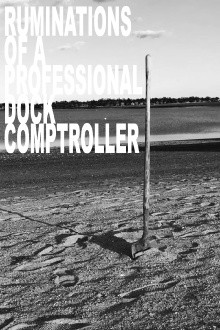 Ruminations of a Professional Dock Comptroller Trailer