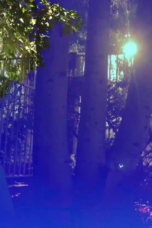Ruminative Meditations Trailer