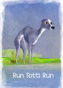 Run Totti Run Trailer