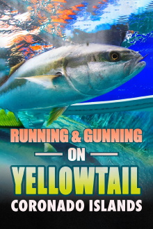 Running & Gunning on Yellowtail: Coronado Islands Trailer