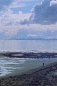 Running in Circles Trailer