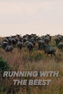 Running With The Beest Trailer