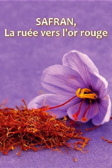 Safran, la ruée vers l'or rouge Trailer