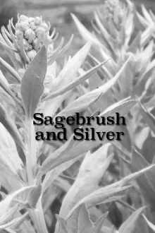 Sagebrush and Silver Trailer
