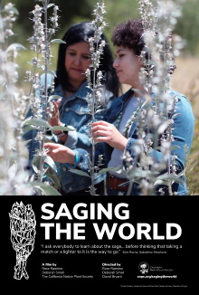 Saging the World Trailer
