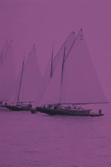 Sailing Trailer