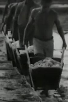 Salt Trailer
