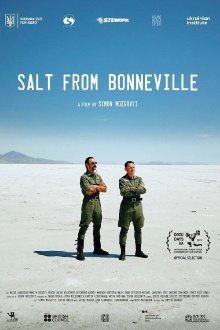 Salt from Bonneville Trailer
