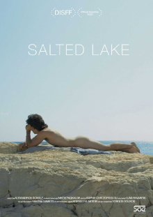 Salted Lake Trailer