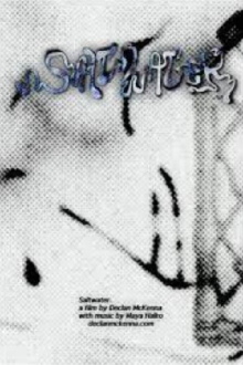 Saltwater Trailer