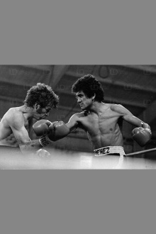 Salvador Sanchez vs. Danny Lopez I Trailer