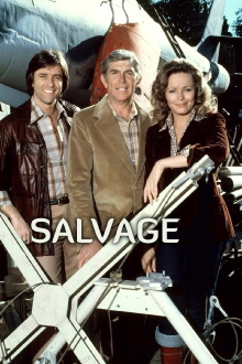 Salvage Trailer