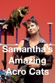 Samantha’s Amazing Acrocats Trailer