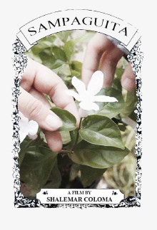 Sampaguita Trailer