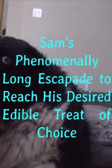 Sam's Phenomenally Long Escapade to Reach His Desired Edible Treat of Choice Trailer