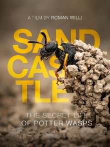 Sandcastle - The Secret Life Of Potter Wasps Trailer