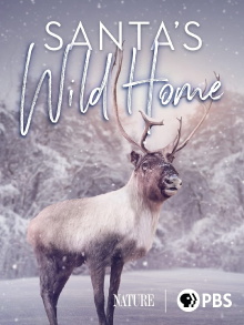 Santa's Wild Home Trailer