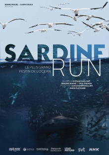 Sardine Run, le plus grand festin de l'océan Trailer