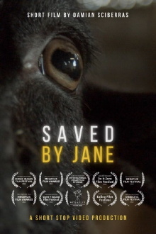 Saved By Jane Trailer