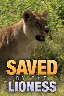Saved by the Lioness Trailer