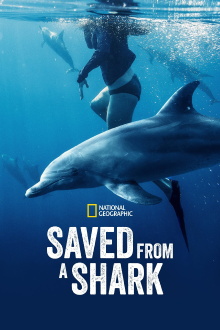 Saved From a Shark Trailer