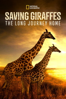 Saving Giraffes: The Long Journey Home Trailer