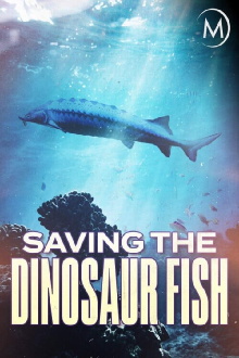 Saving the Dinosaur Fish Trailer