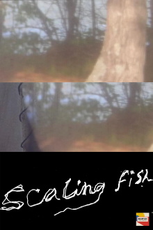 Scaling Fish Trailer