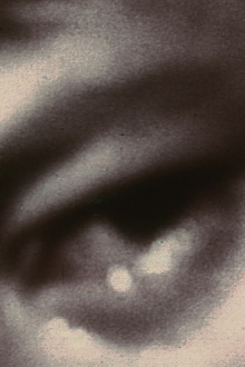 Scenes from Under Childhood, Section Four Trailer