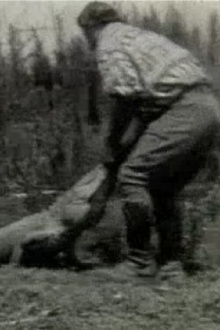 Scenes of the Everglades Trailer