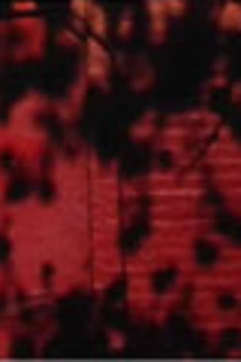 Schatten auf roter Wand Trailer