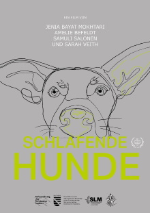 Schlafende Hunde Trailer