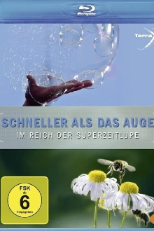 Schneller als das Auge - Im Reich der Superzeitlupe Trailer