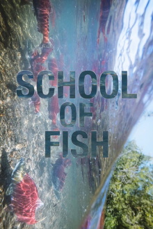 School of Fish Trailer